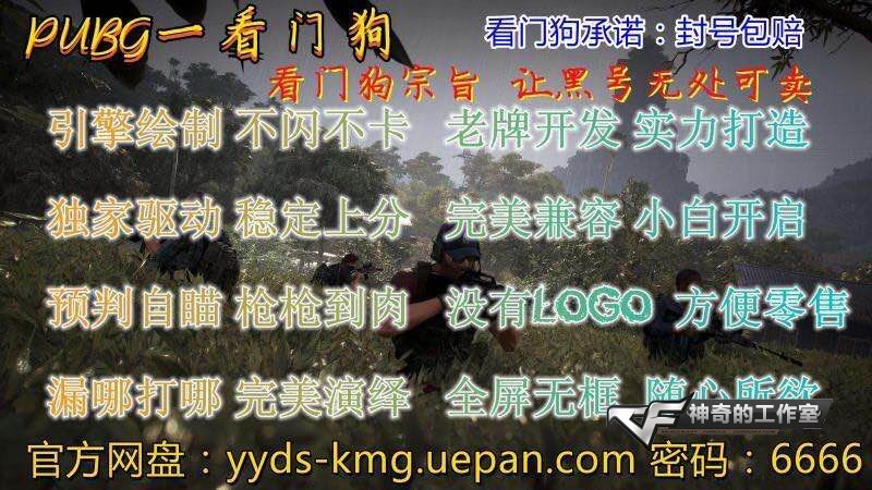 绝地求生辅助【看门狗】子弹追踪，透视自瞄
